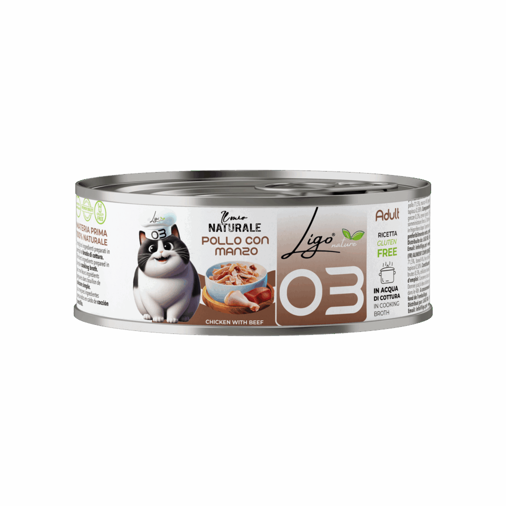 Negozio Di Immagine Primaria