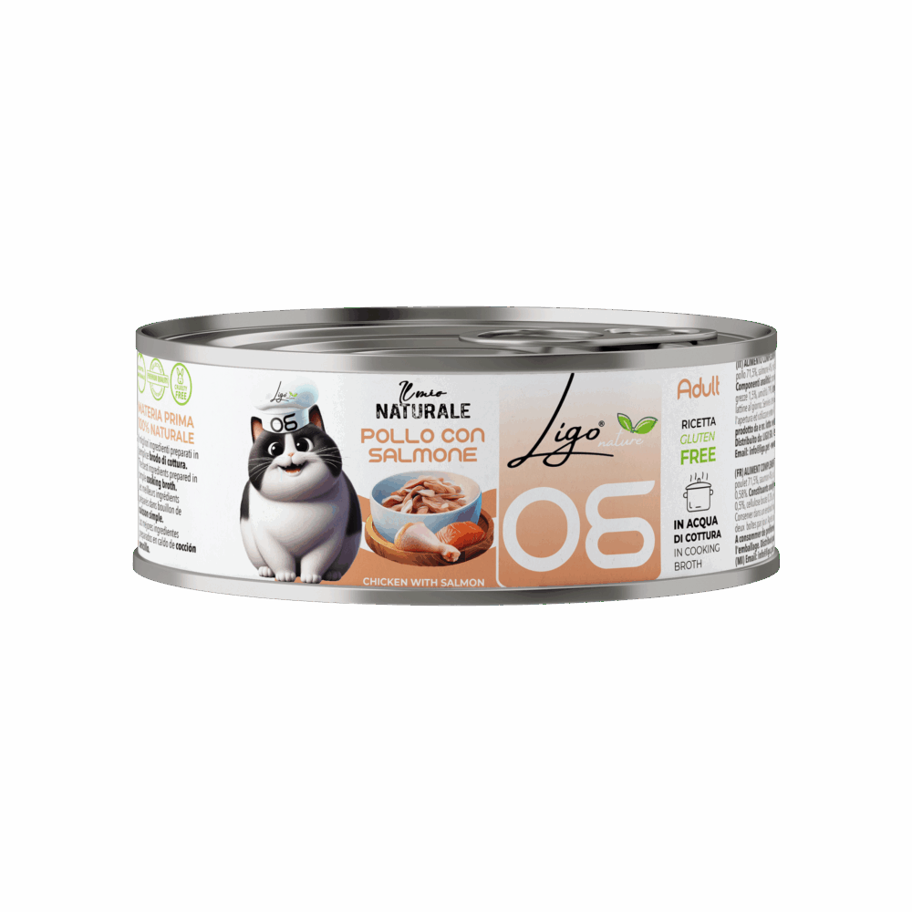 Negozio Di Immagine Primaria