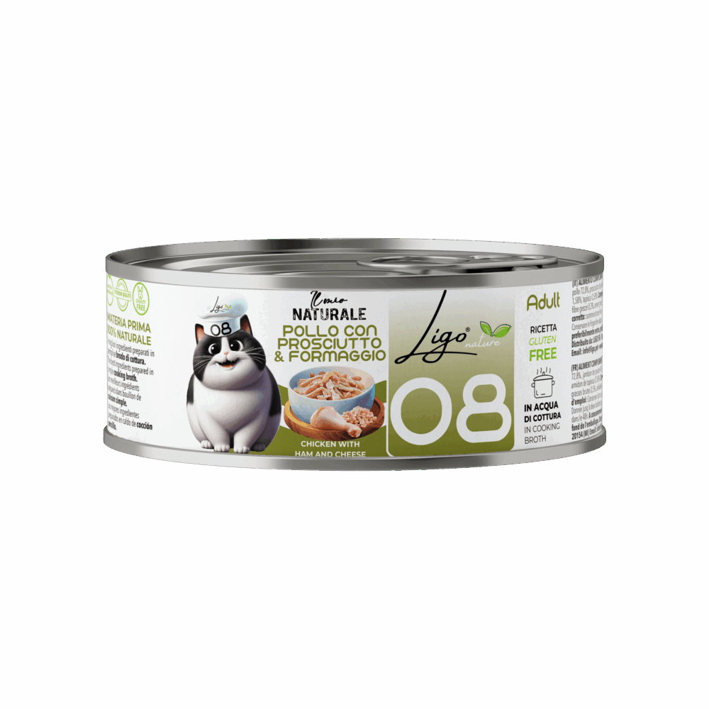 Negozio Di Immagine Primaria