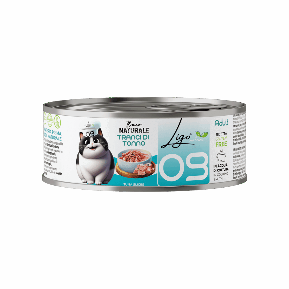 Negozio Di Immagine Primaria