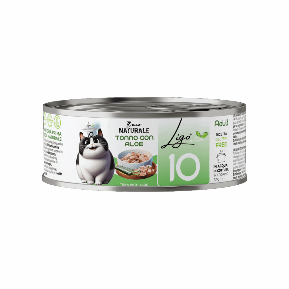 Negozio Di Immagine Primaria