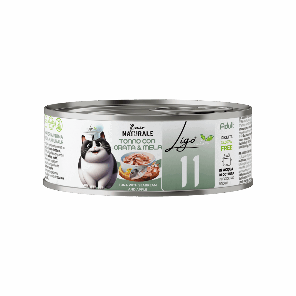 Negozio Di Immagine Primaria