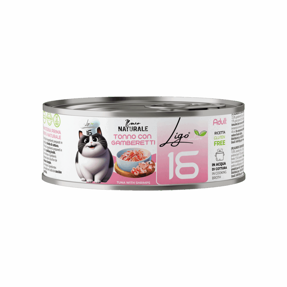 Negozio Di Immagine Primaria