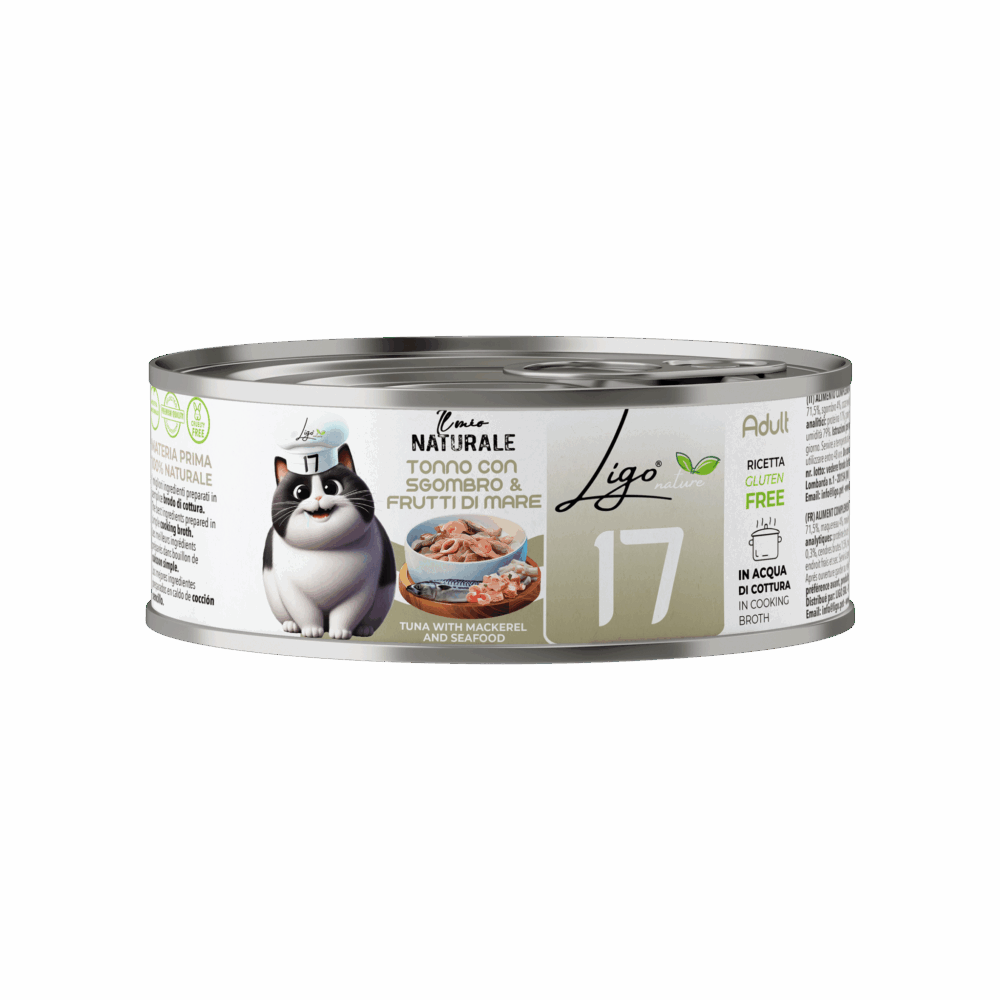 Negozio Di Immagine Primaria