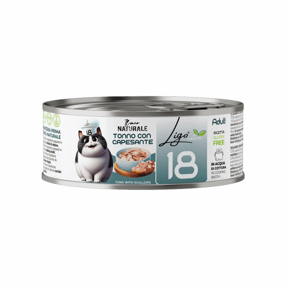 Negozio Di Immagine Primaria