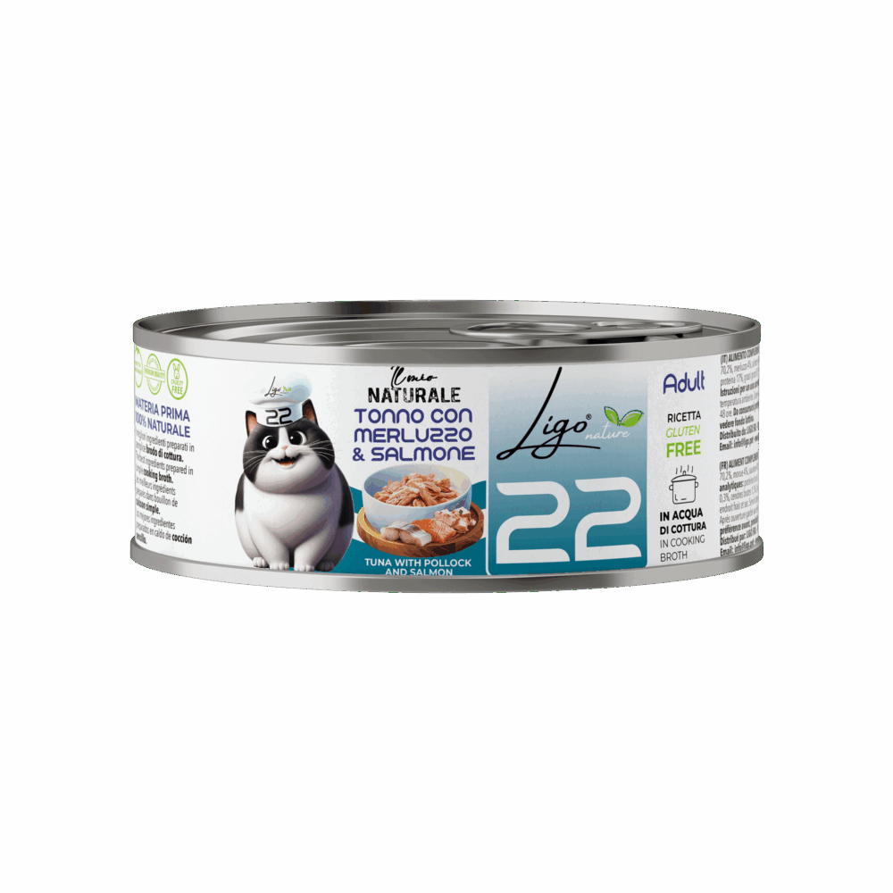 Negozio Di Immagine Primaria