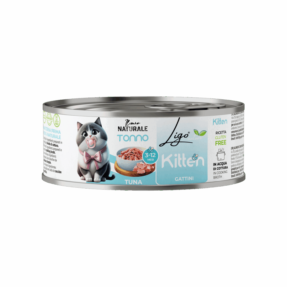 Negozio Di Immagine Primaria