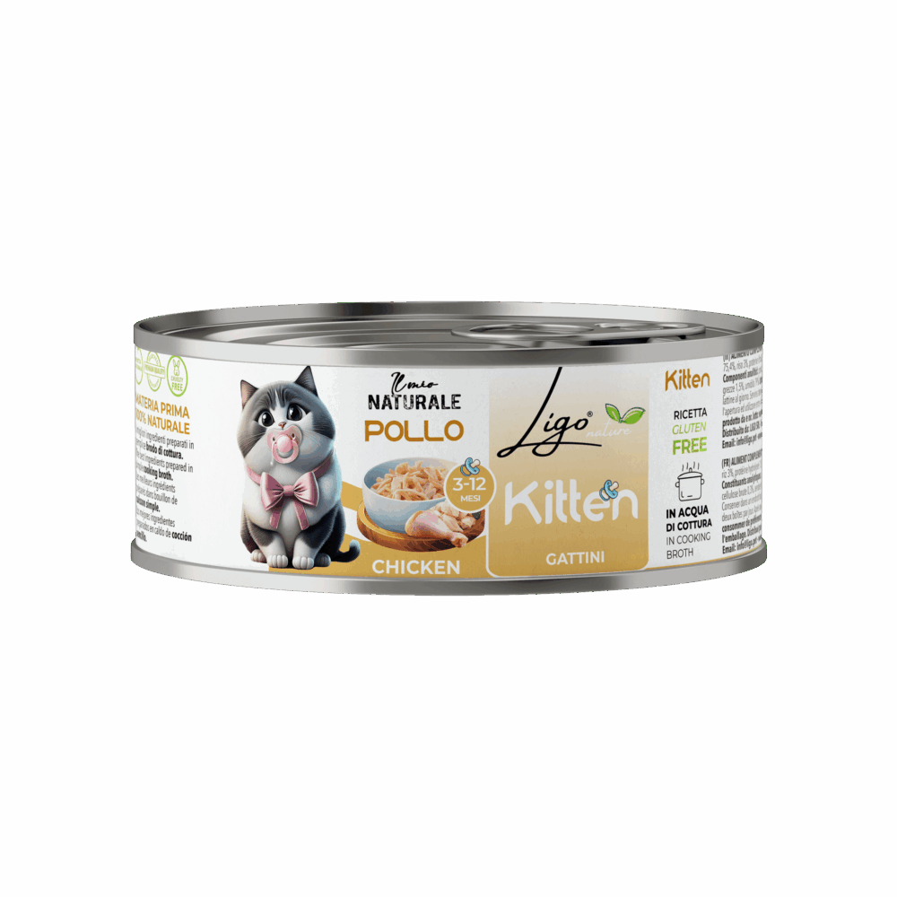 Negozio Di Immagine Primaria