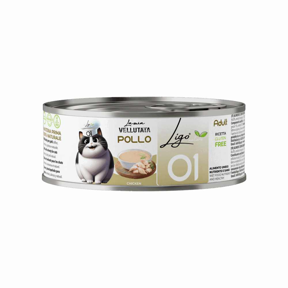 Negozio Di Immagine Primaria