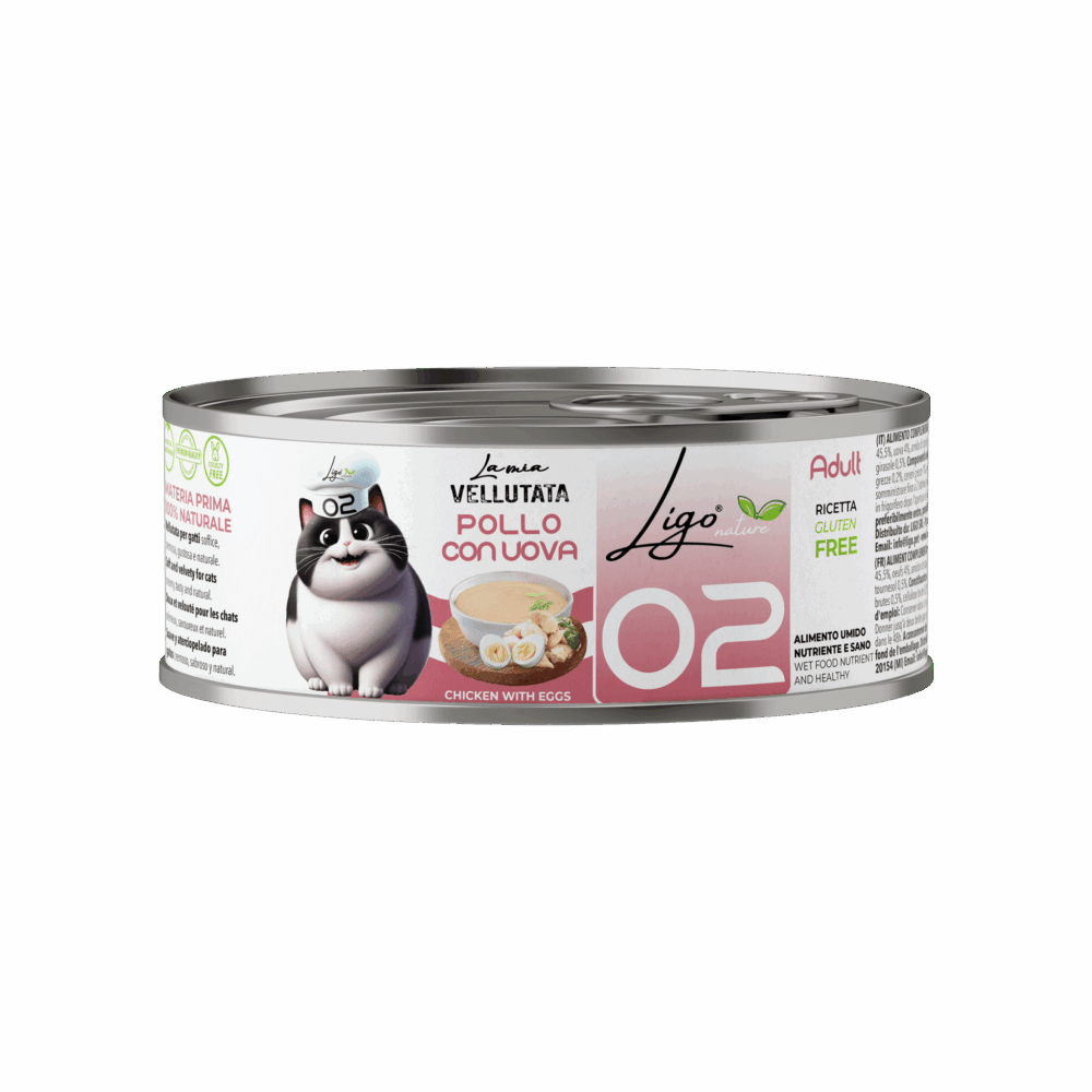 Negozio Di Immagine Primaria