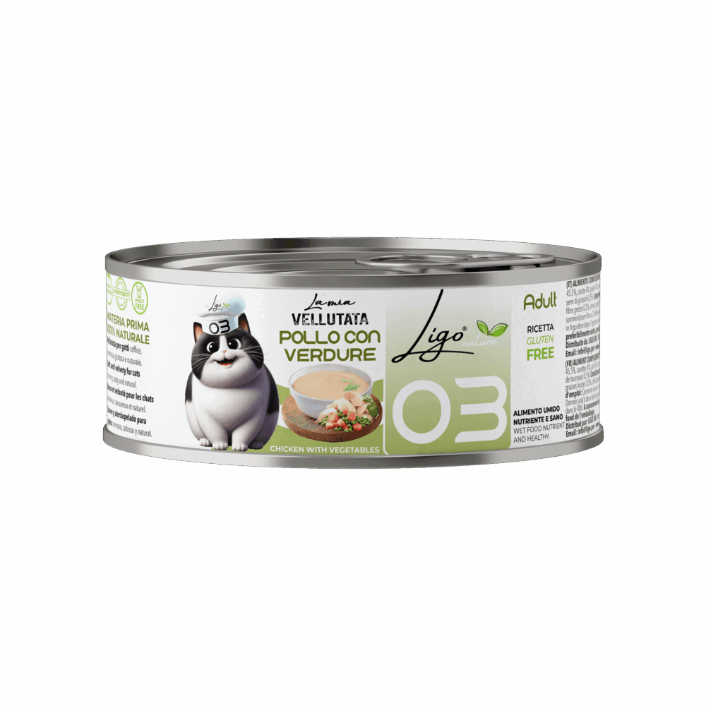 Negozio Di Immagine Primaria