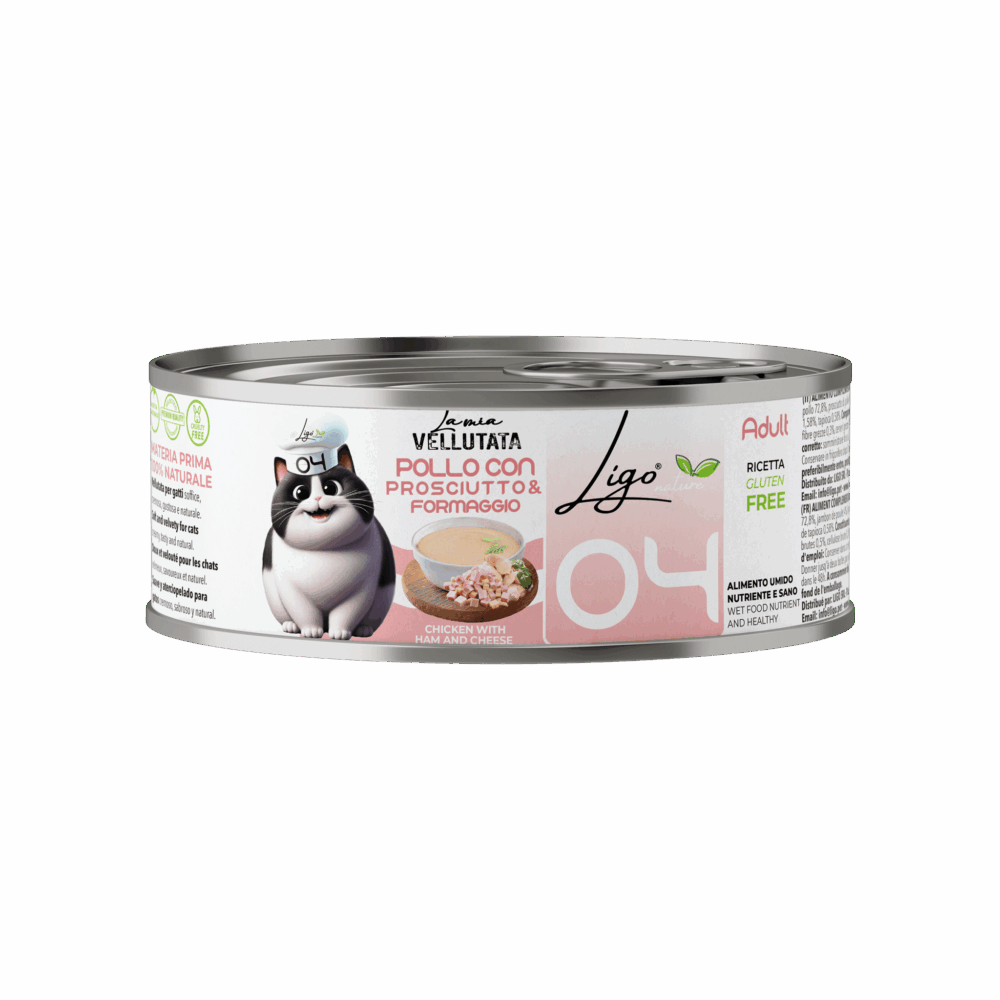 Negozio Di Immagine Primaria