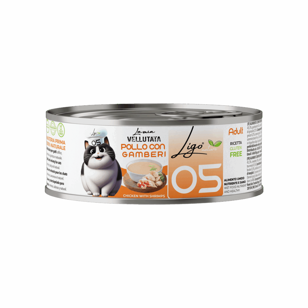 Negozio Di Immagine Primaria