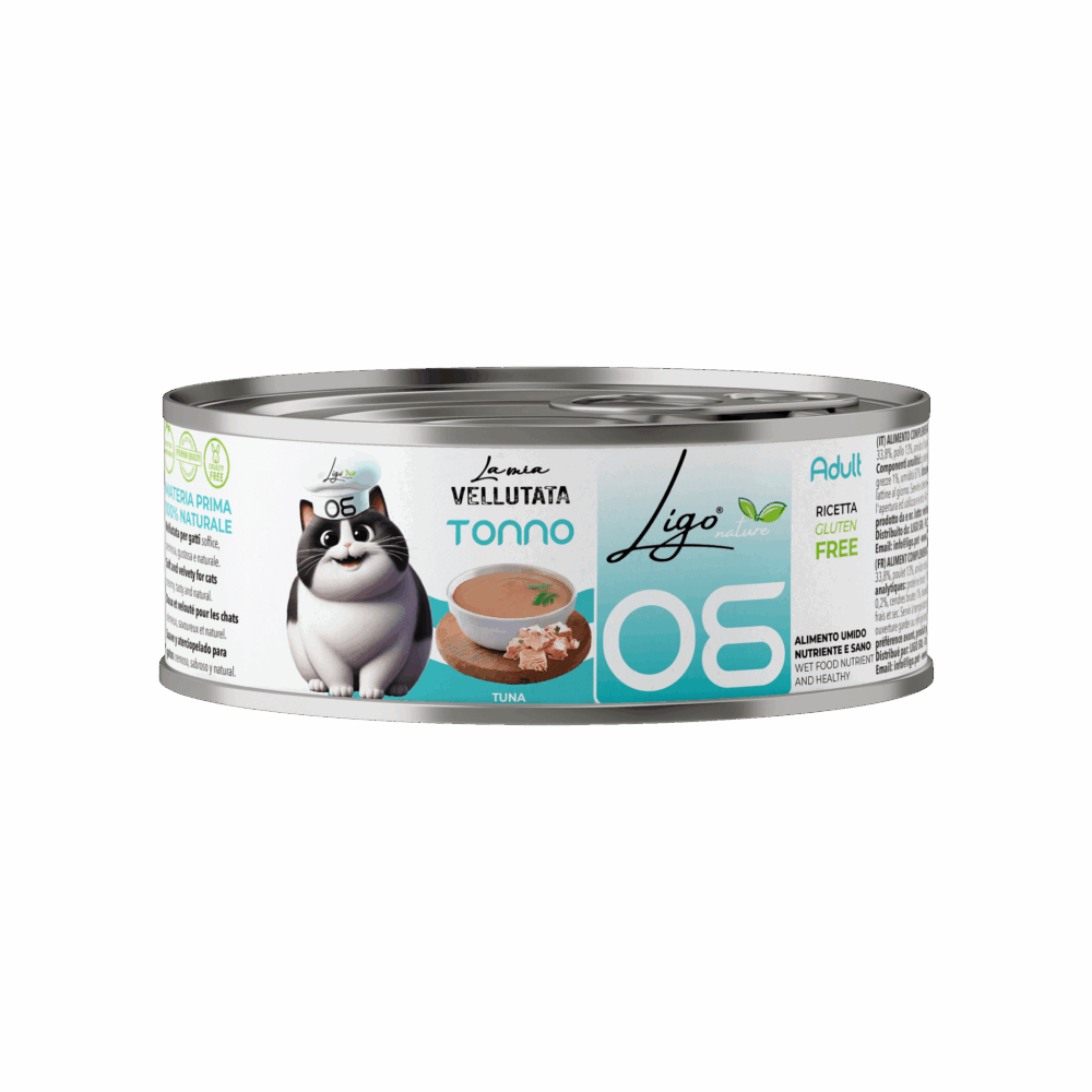 Negozio Di Immagine Primaria