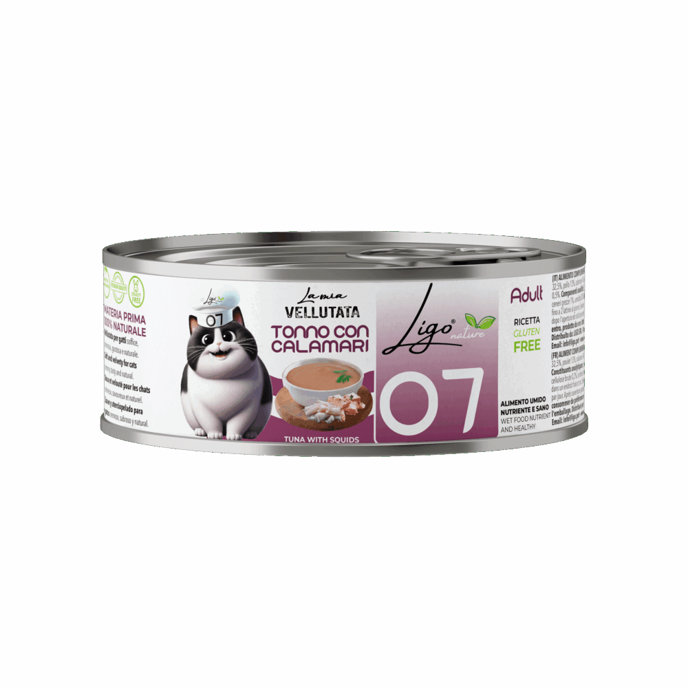 Negozio Di Immagine Primaria