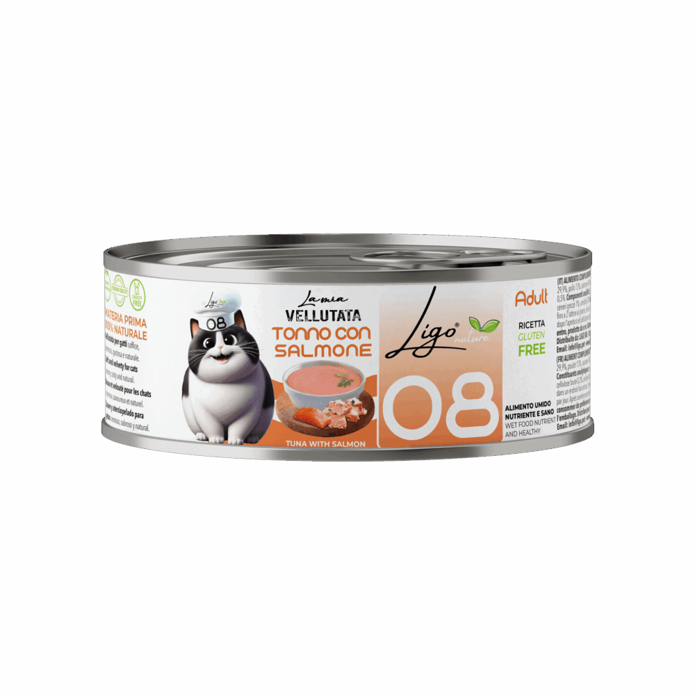 Negozio Di Immagine Primaria