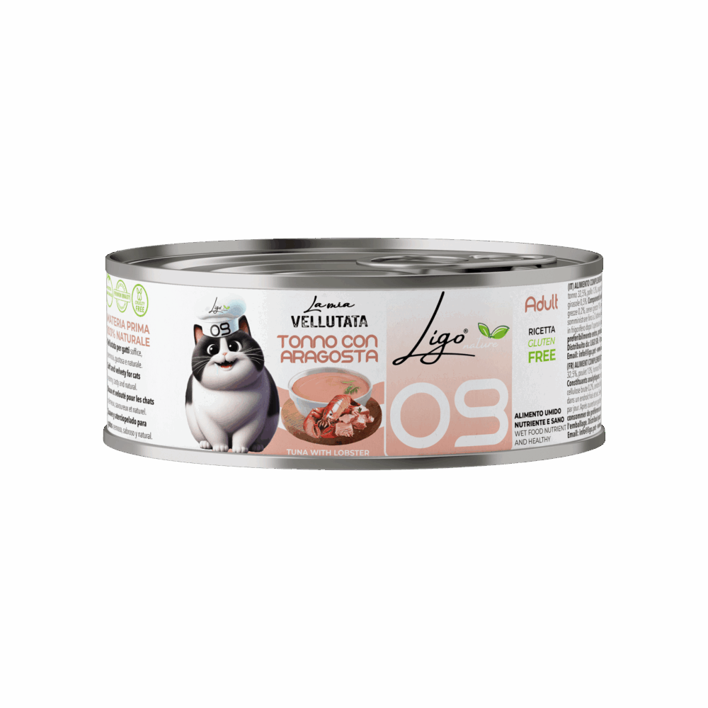 Negozio Di Immagine Primaria