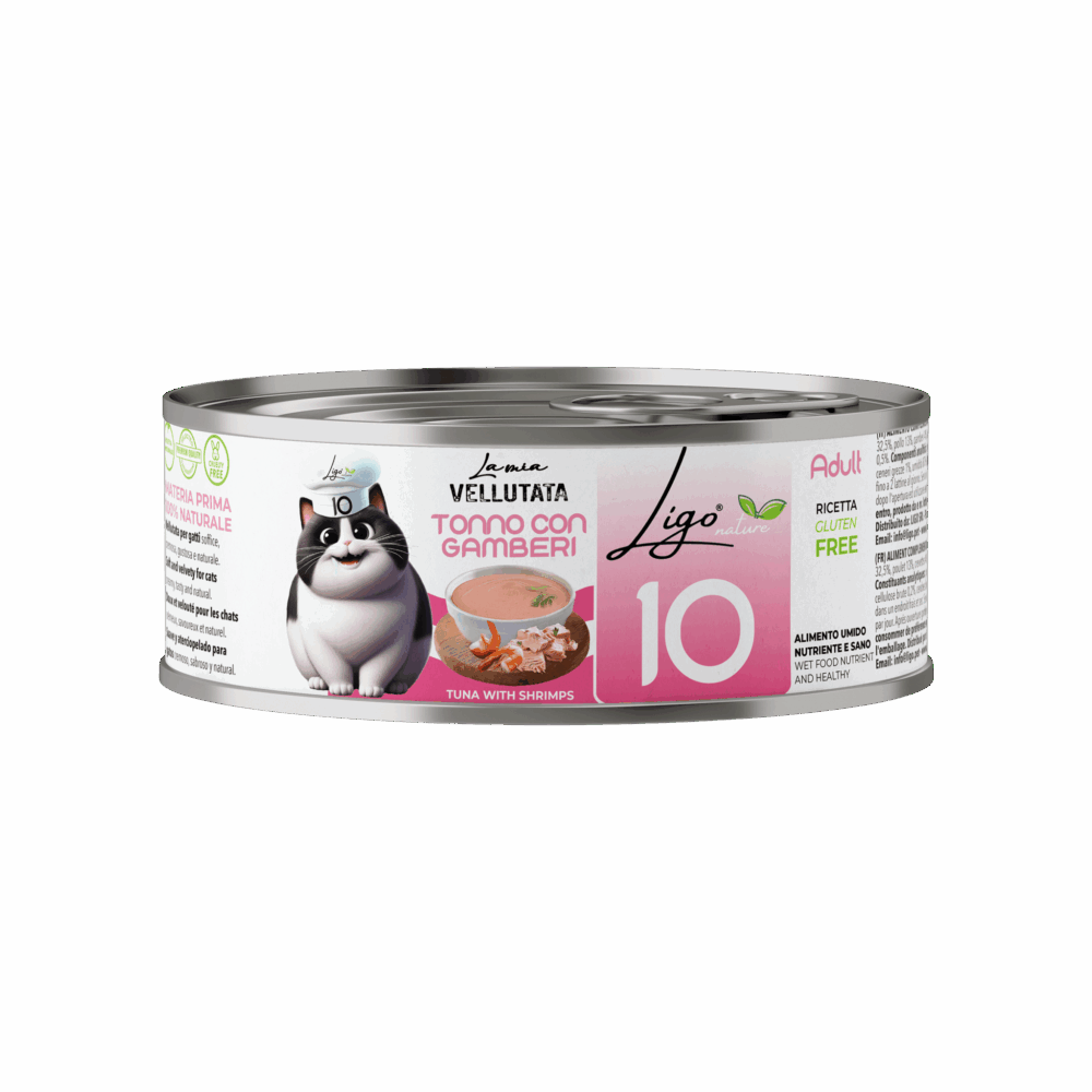 Negozio Di Immagine Primaria