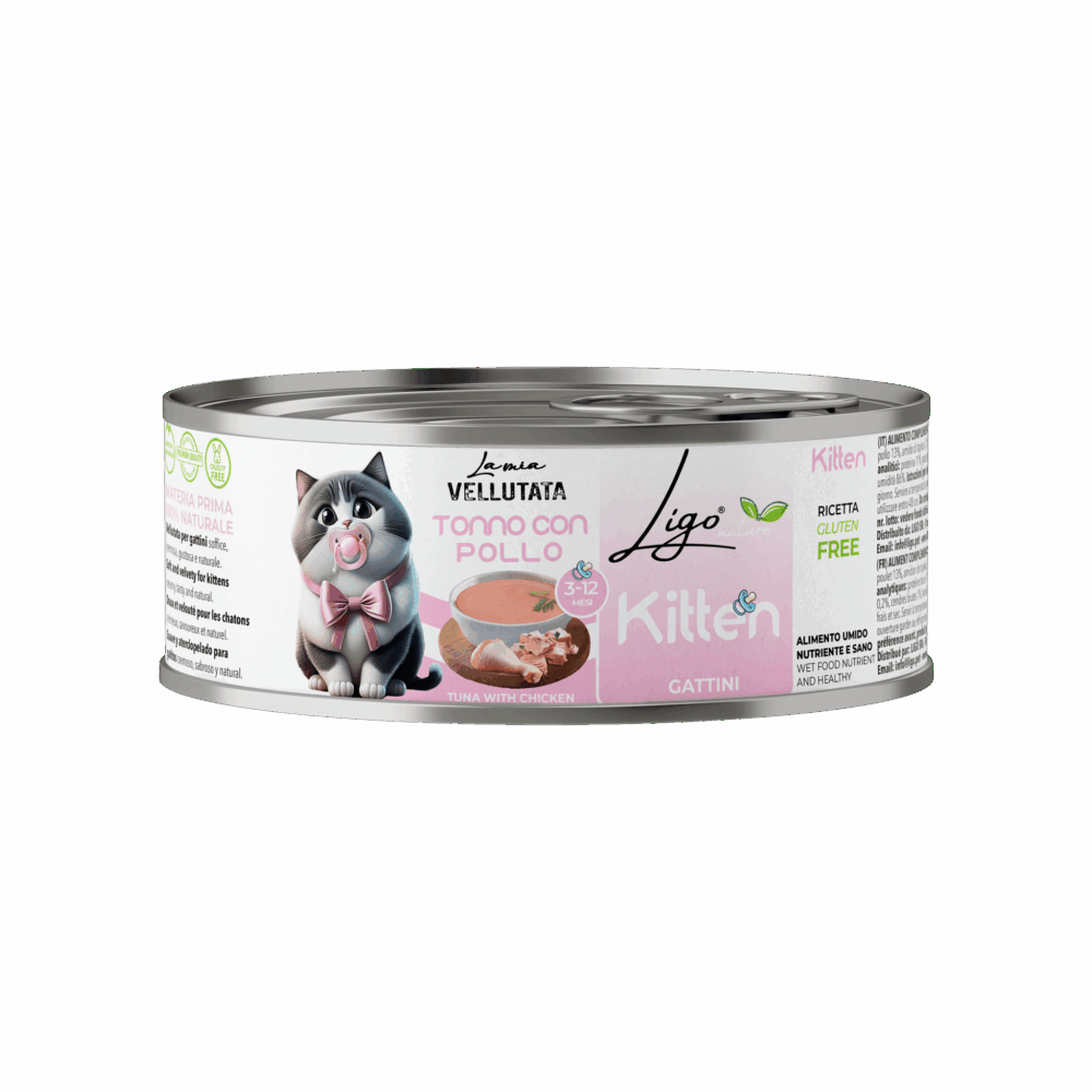 Negozio Di Immagine Primaria