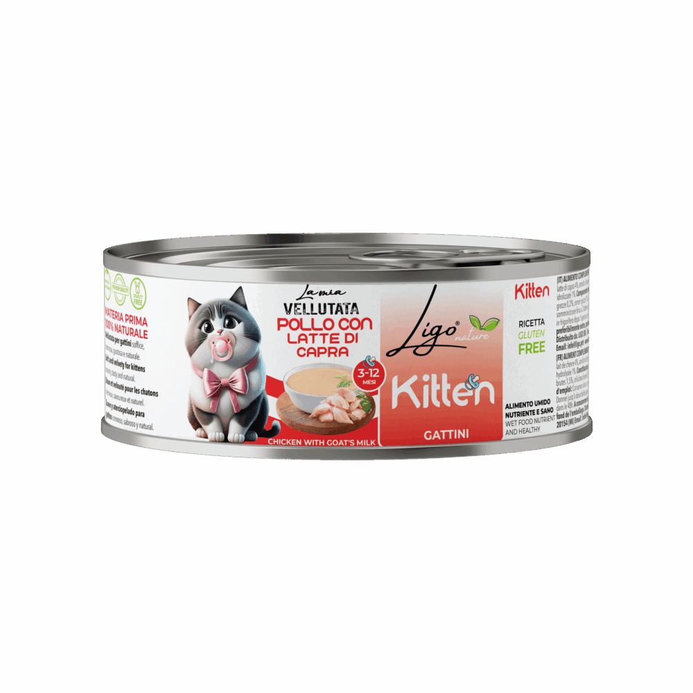 Negozio Di Immagine Primaria