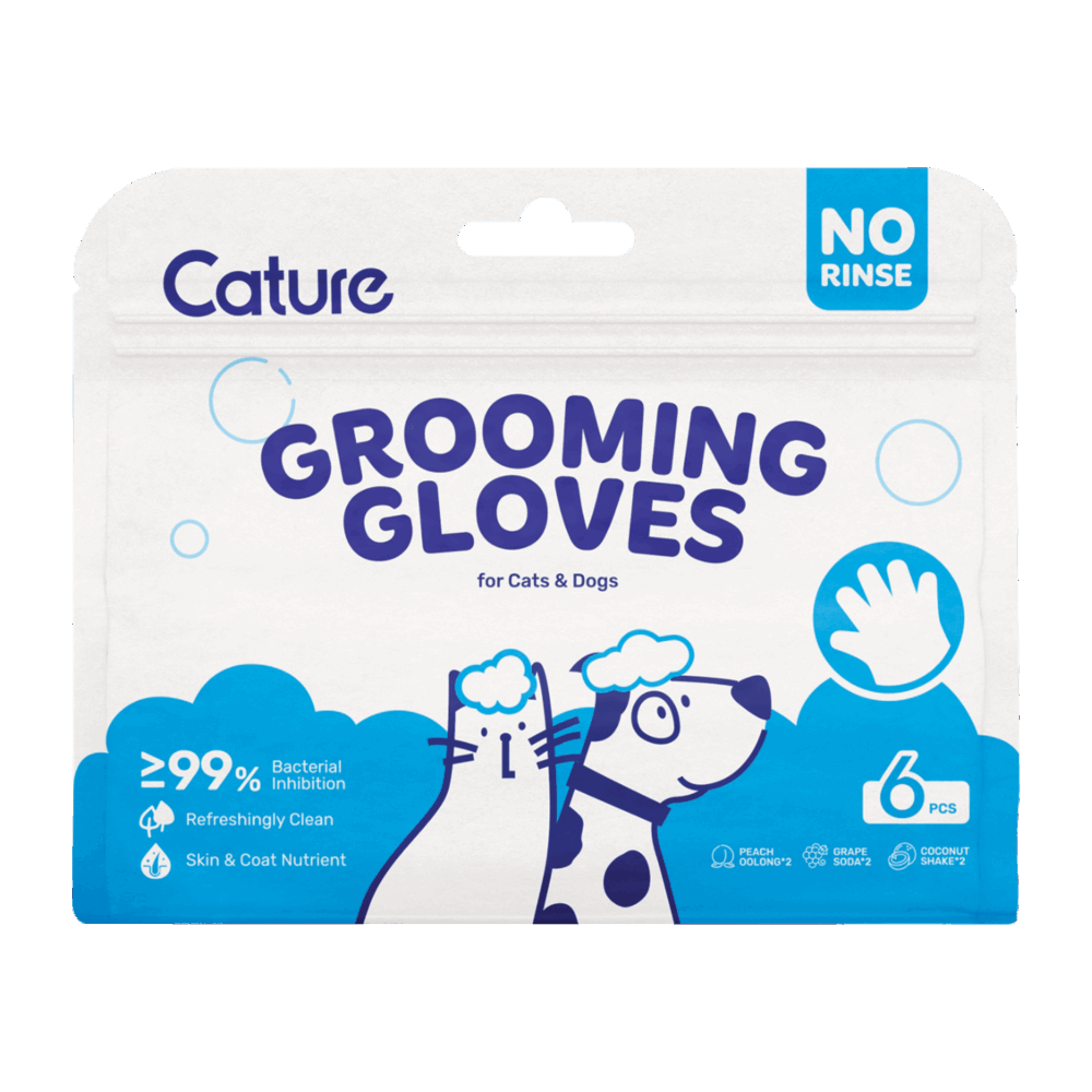 Negozio Di Immagine Primaria