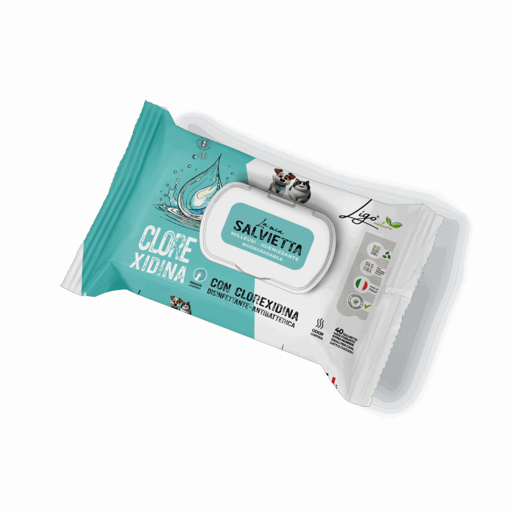 Negozio Di Immagine Primaria