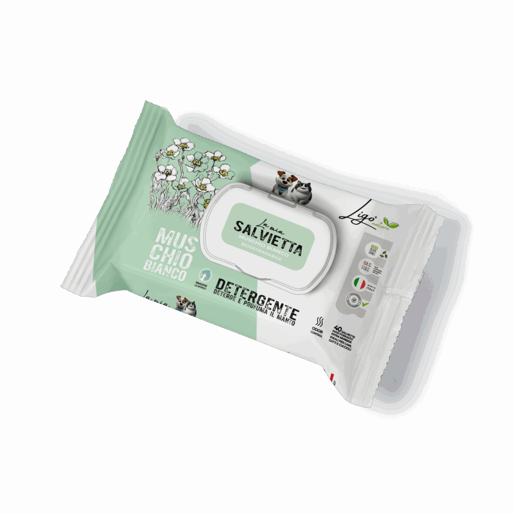 Negozio Di Immagine Primaria