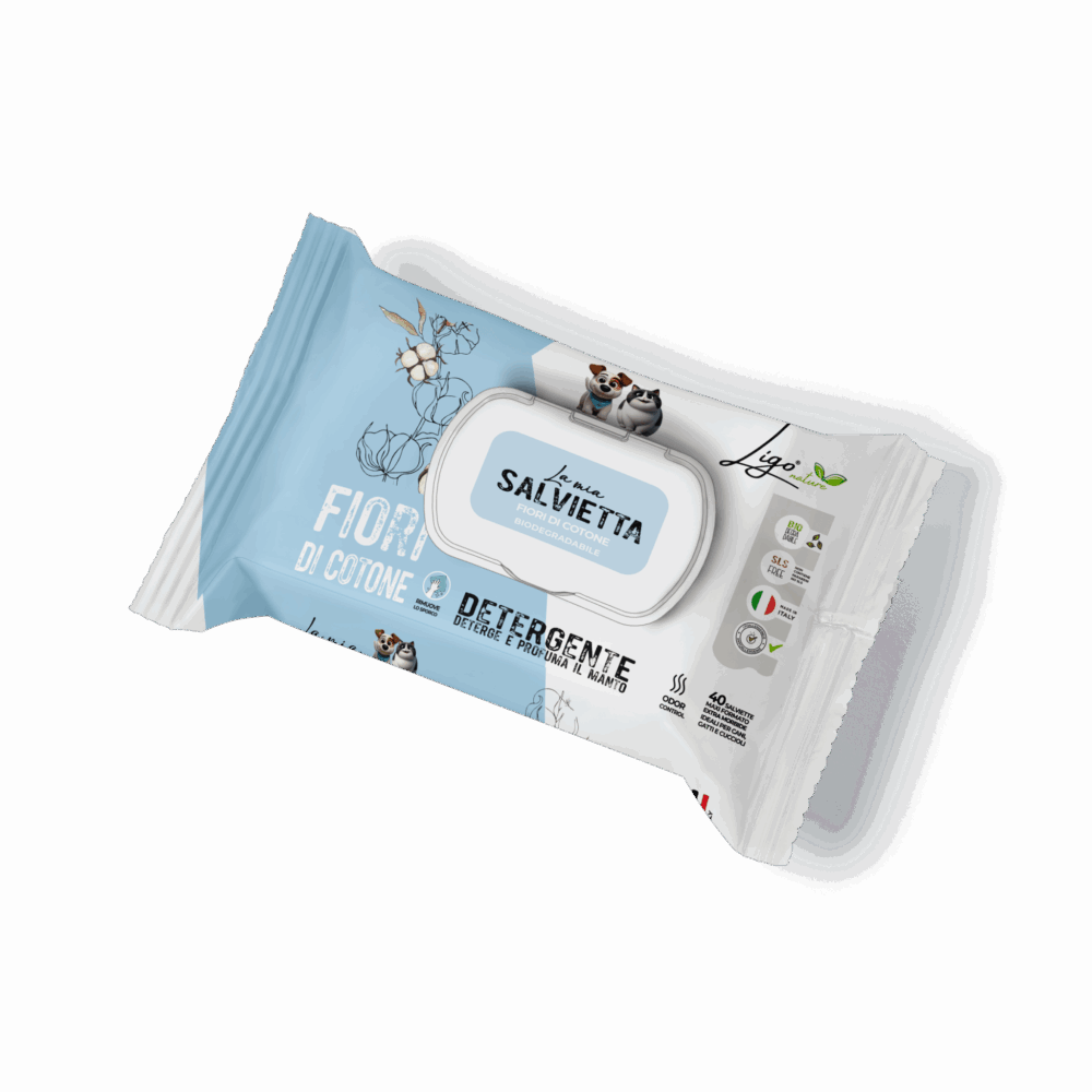 Negozio Di Immagine Primaria