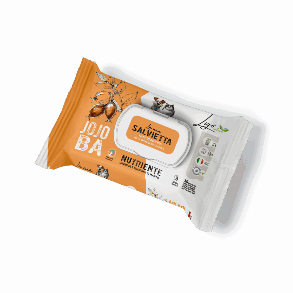 Negozio Di Immagine Primaria