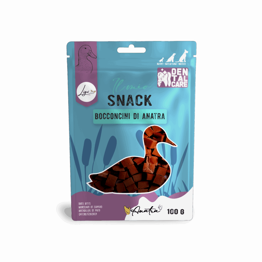 Negozio Di Immagine Primaria