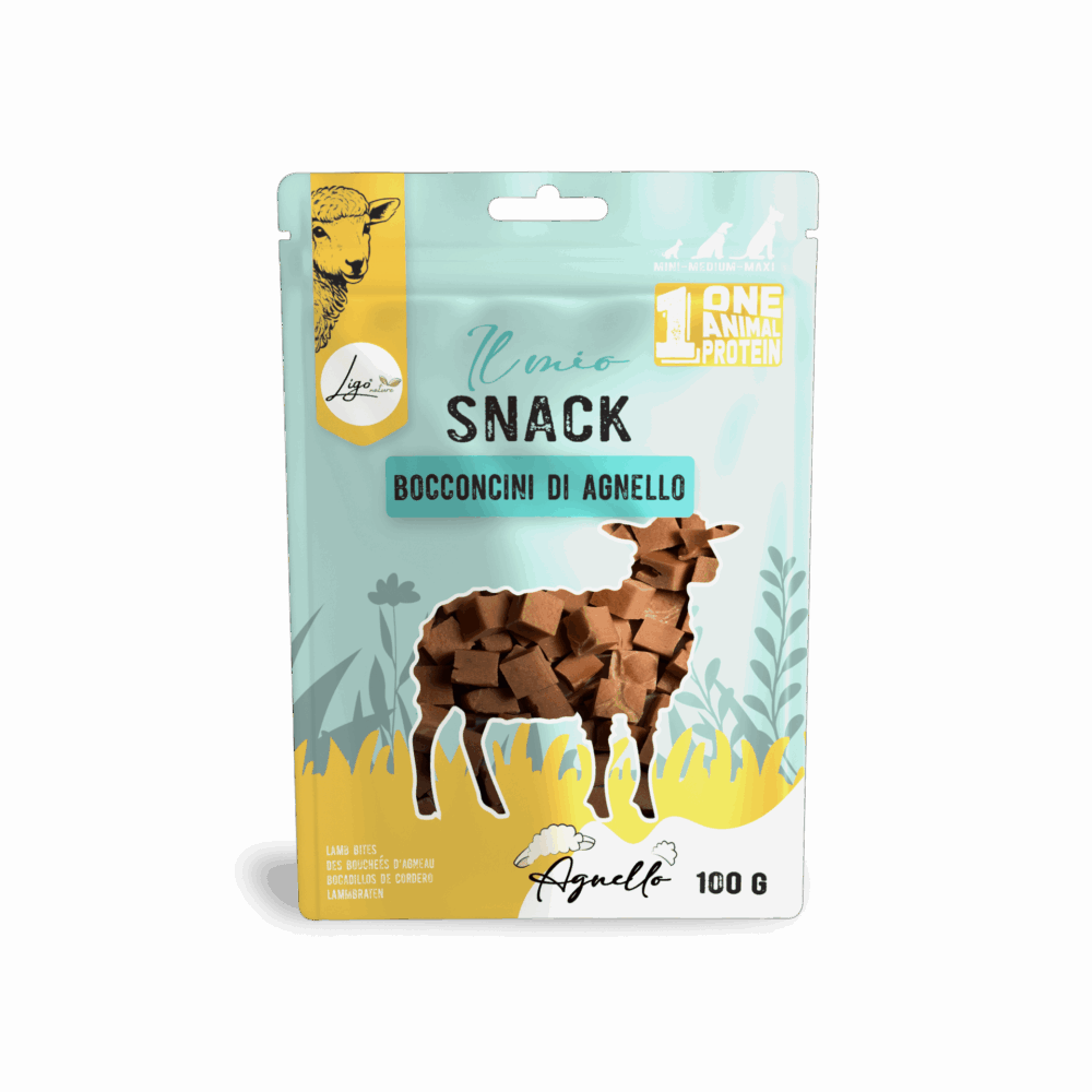 Negozio Di Immagine Primaria