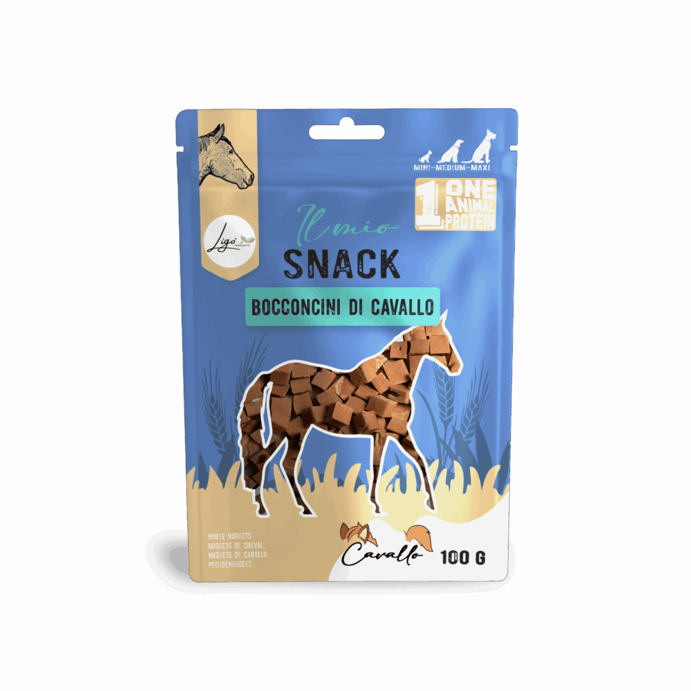 Negozio Di Immagine Primaria