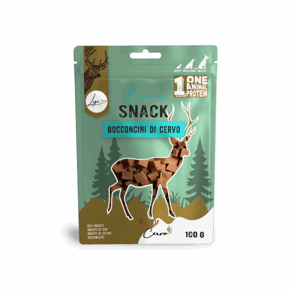 Negozio Di Immagine Primaria