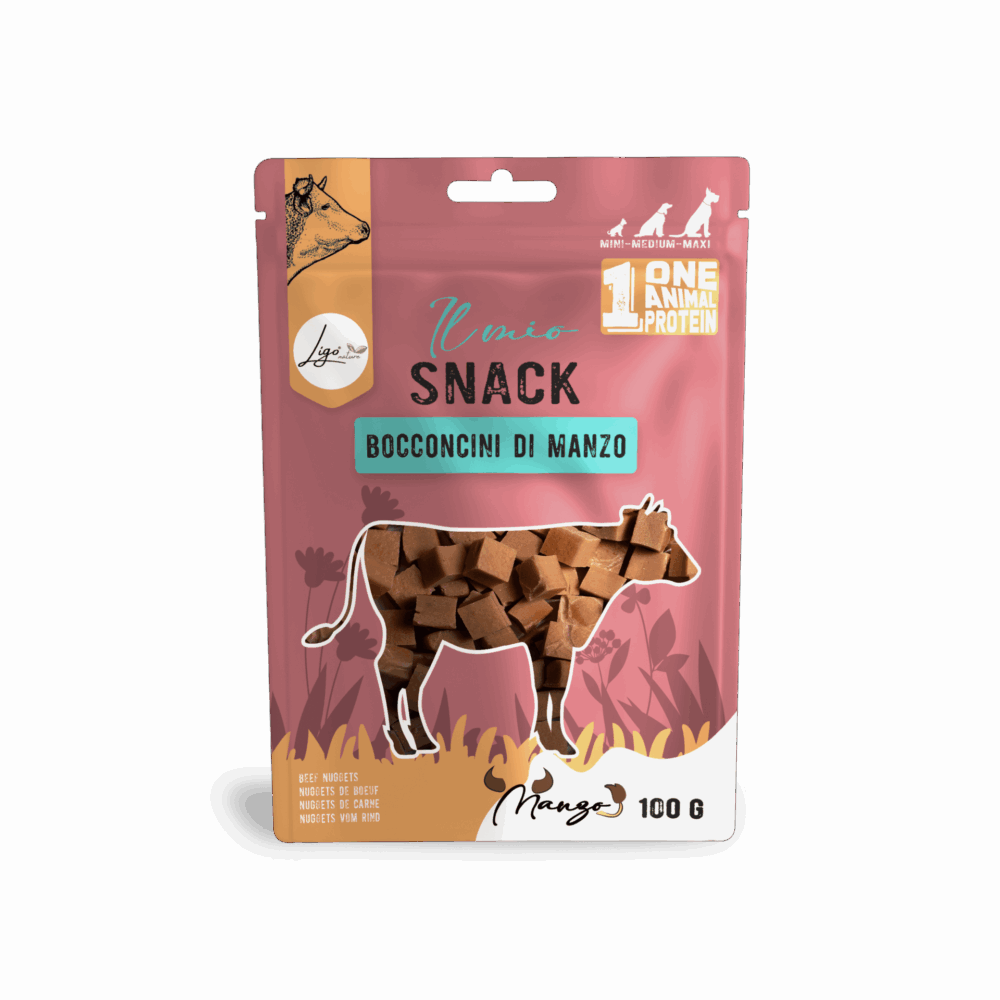 Negozio Di Immagine Primaria