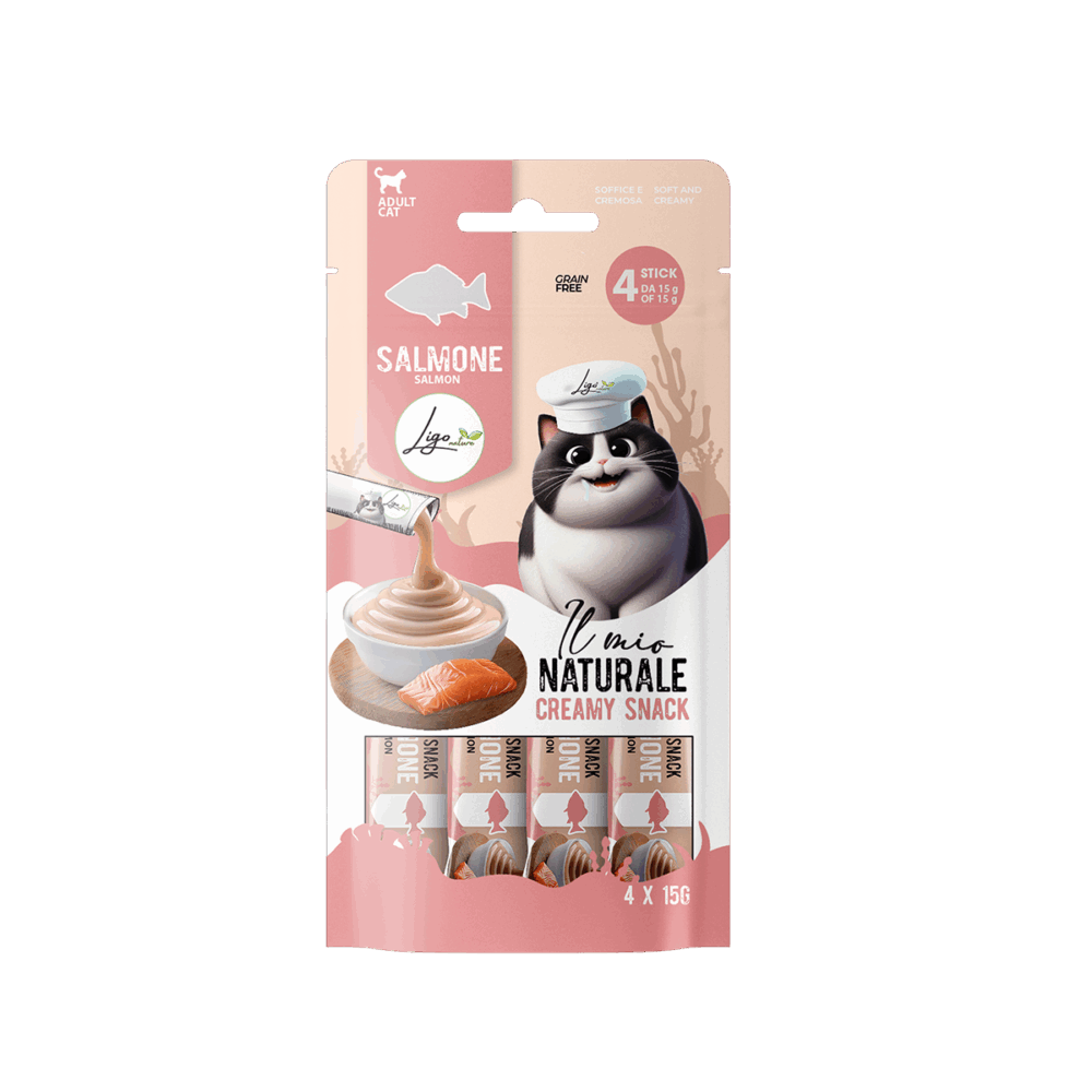 Negozio Di Immagine Primaria