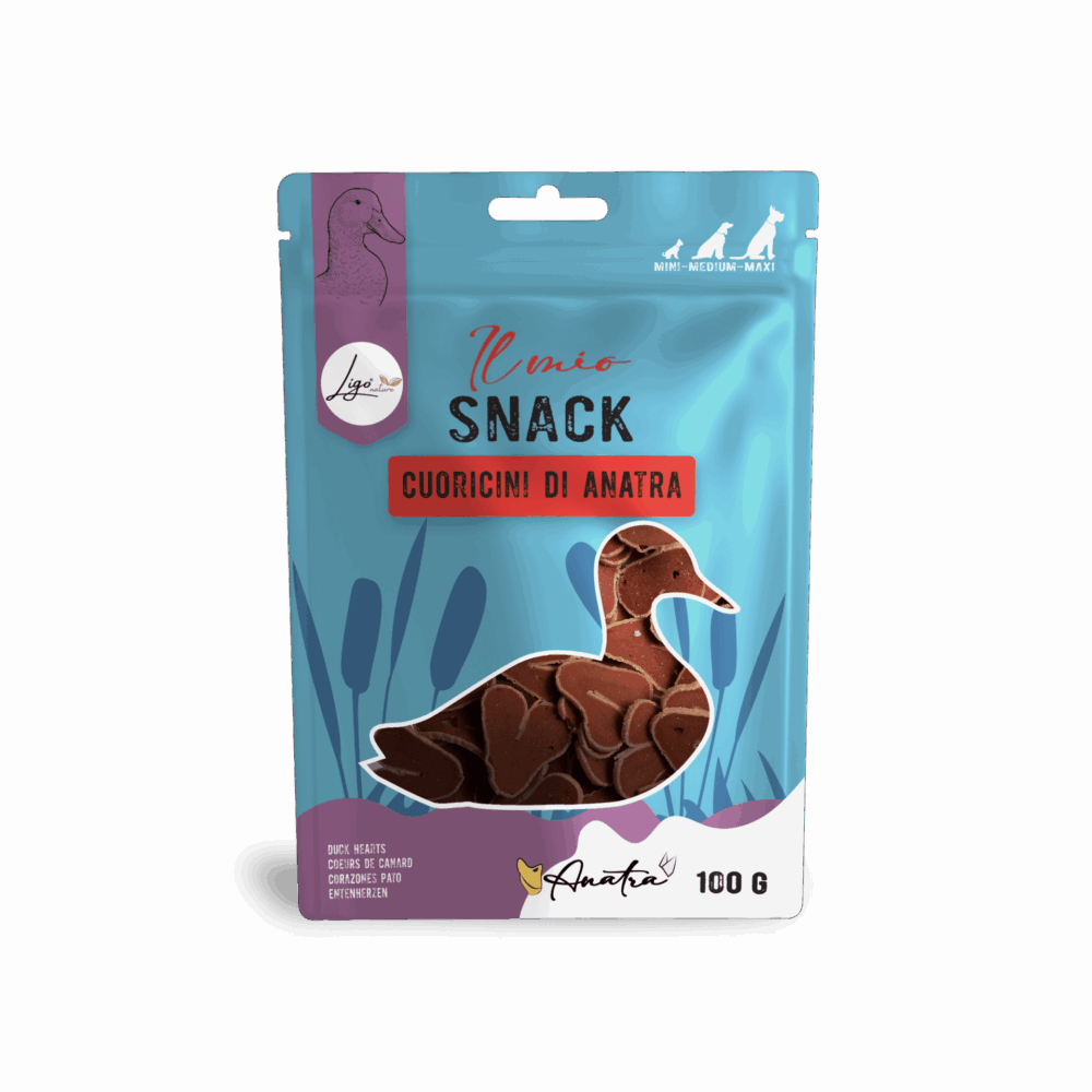 Negozio Di Immagine Primaria