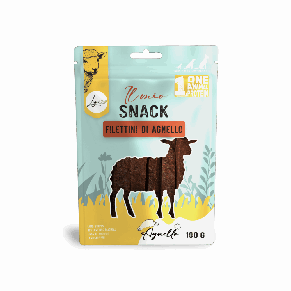 Negozio Di Immagine Primaria