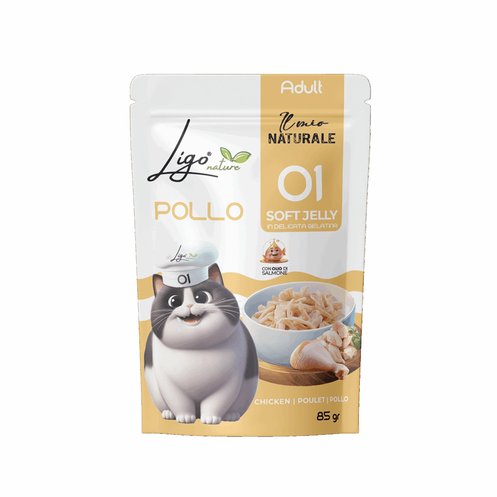 Negozio Di Immagine Primaria