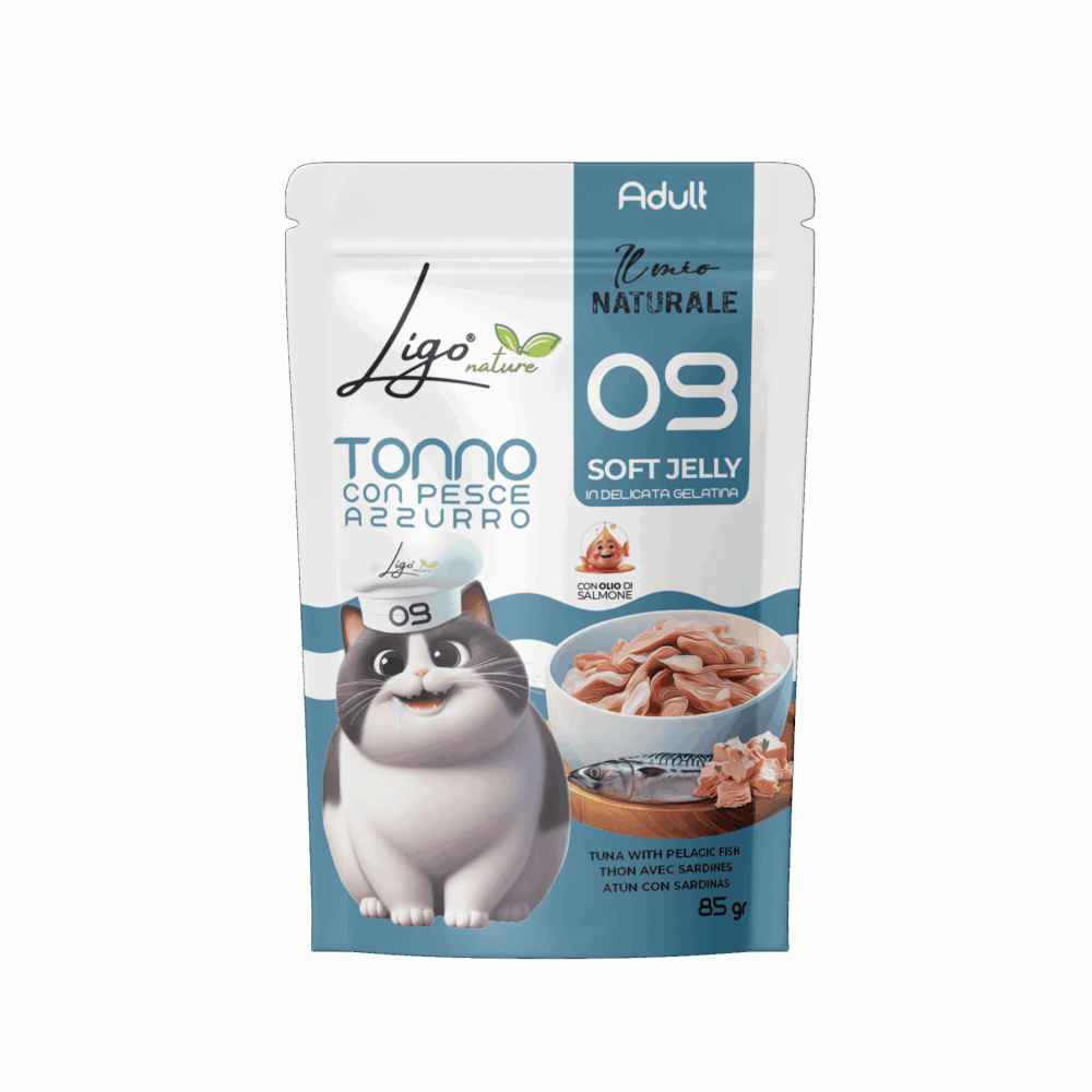 Negozio Di Immagine Primaria