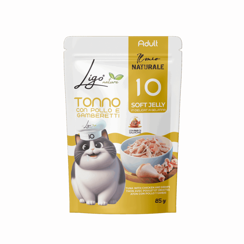 Negozio Di Immagine Primaria