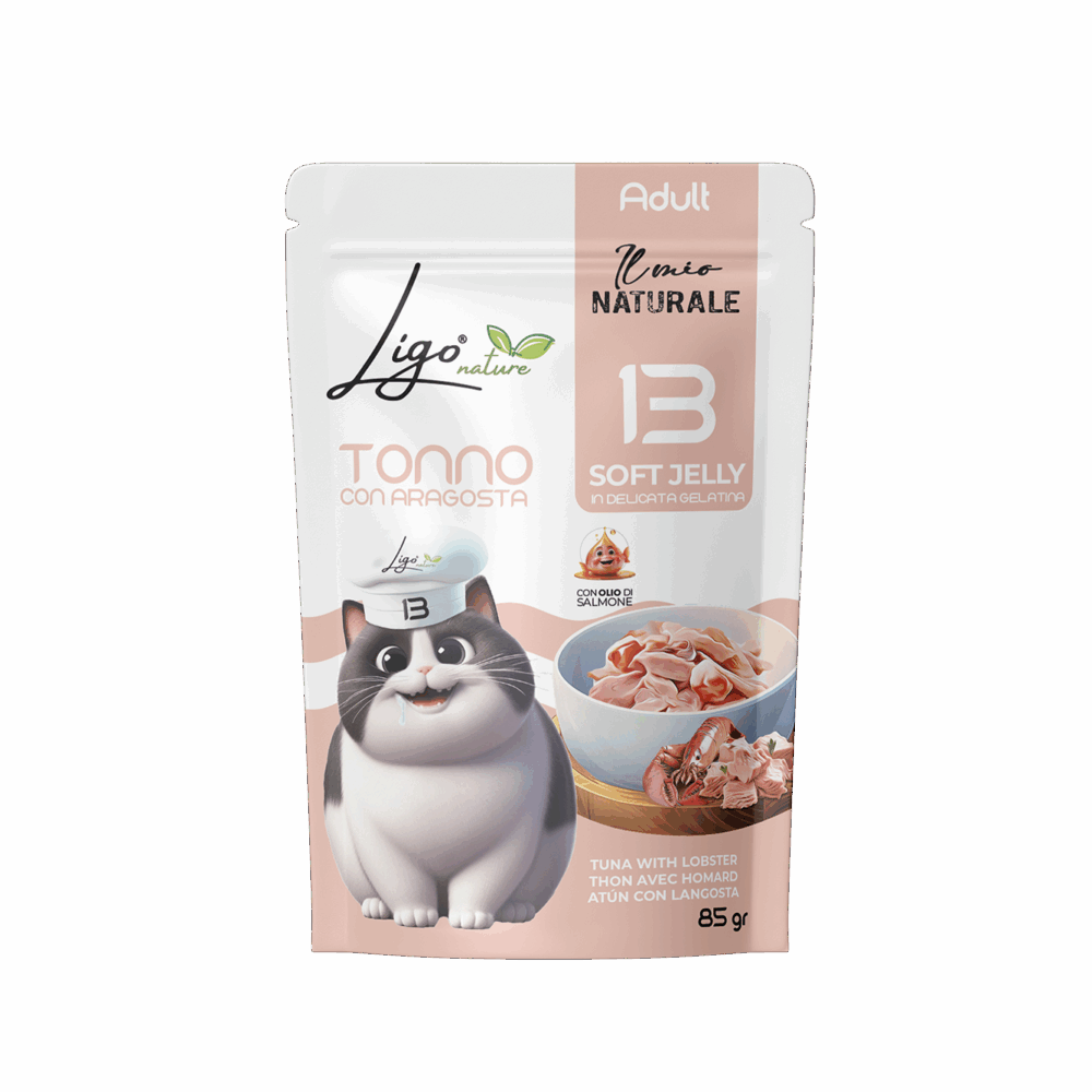 Negozio Di Immagine Primaria