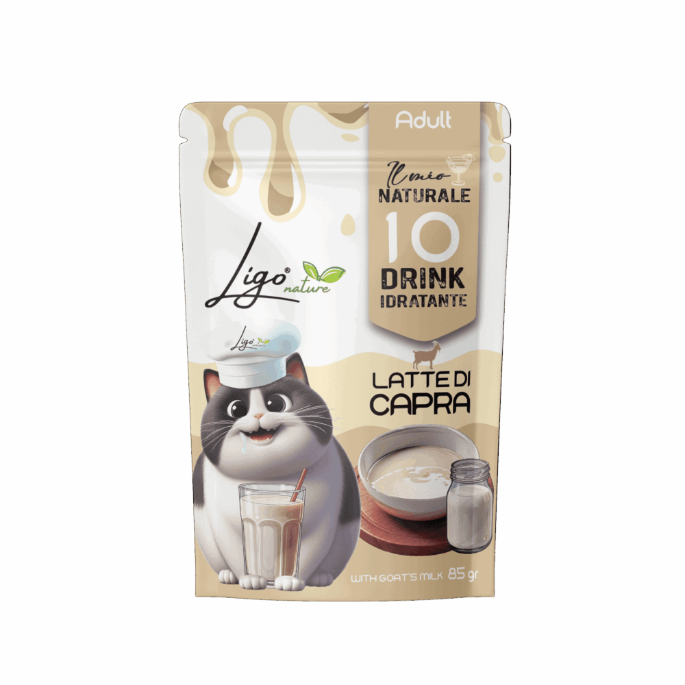 Negozio Di Immagine Primaria