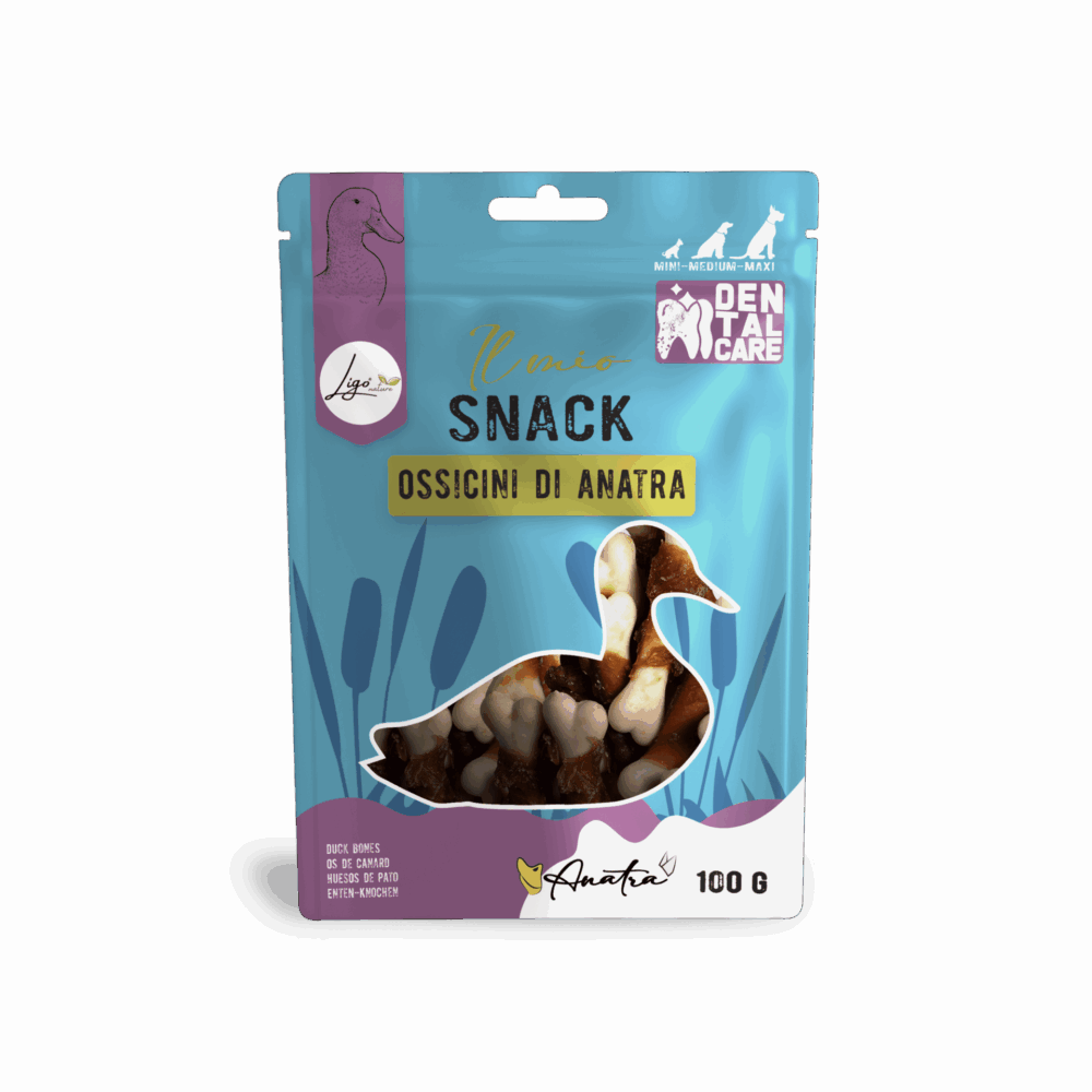 Negozio Di Immagine Primaria