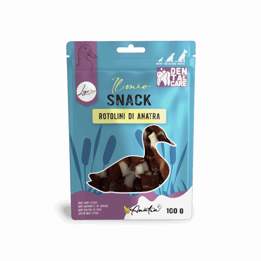 Negozio Di Immagine Primaria