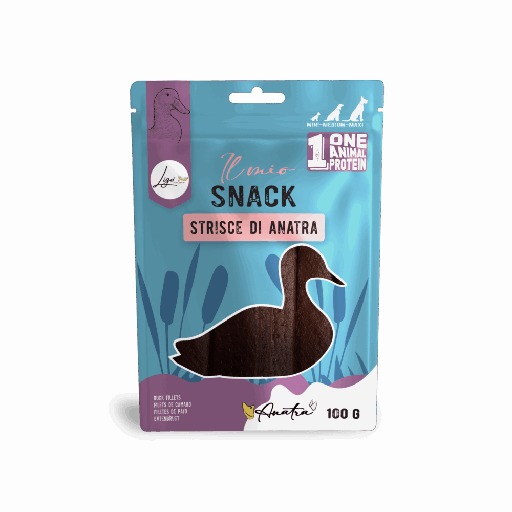 Negozio Di Immagine Primaria