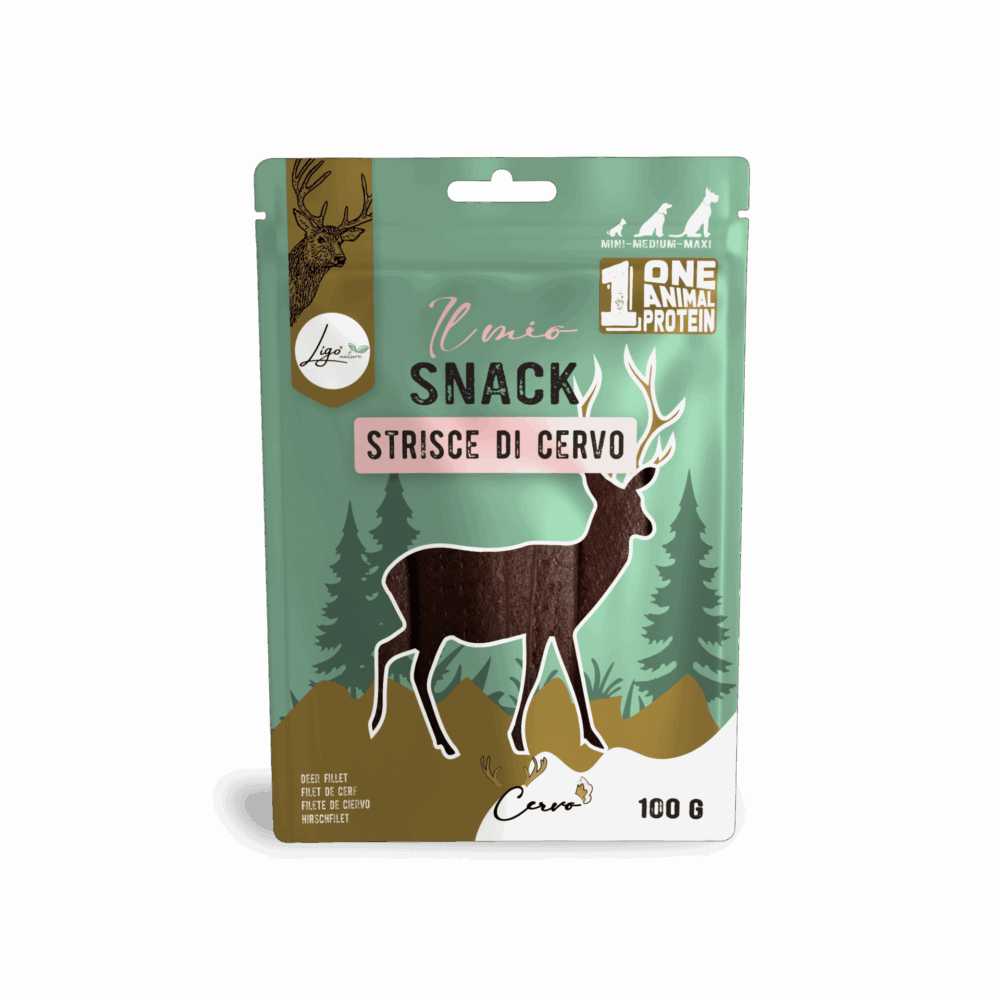 Negozio Di Immagine Primaria