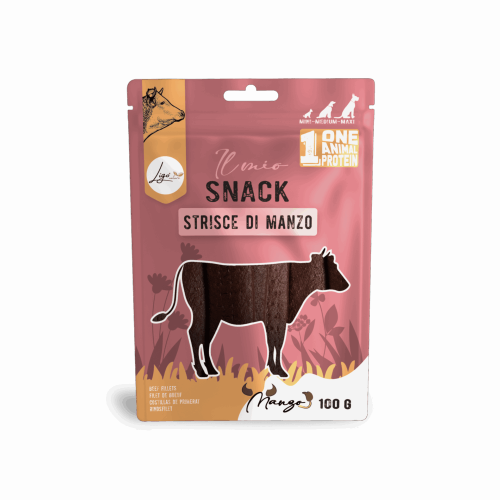 Negozio Di Immagine Primaria