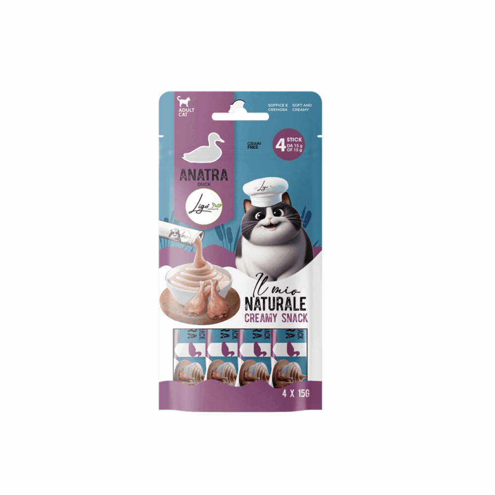 Negozio Di Immagine Primaria