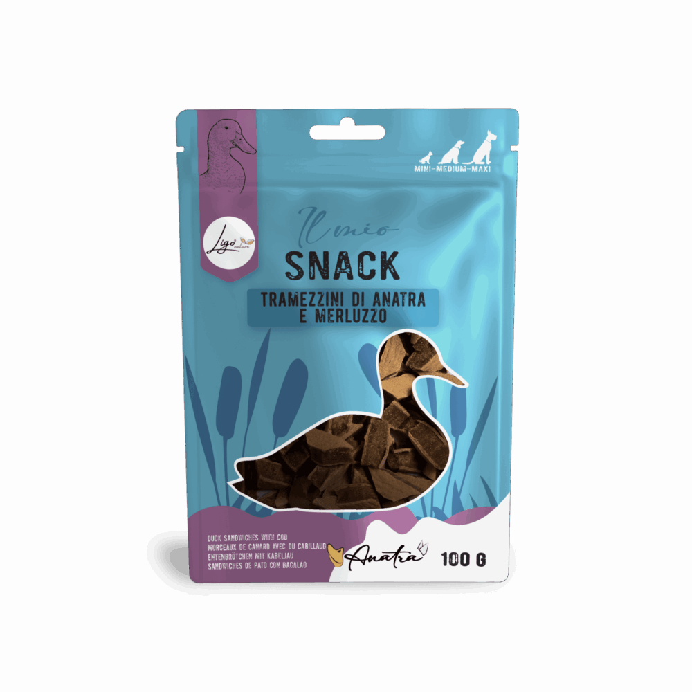 Negozio Di Immagine Primaria