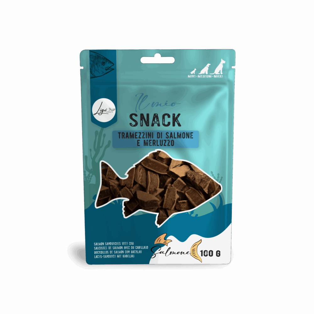 Negozio Di Immagine Primaria